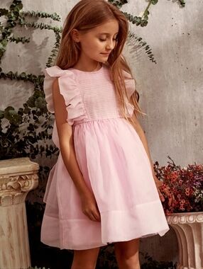 Little Girl's Pink Ruffle Sleeve Formal Dress
